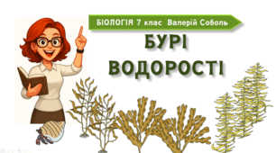 7 клас НУШ.  Бурі водорості