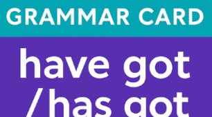 Have / Has got – Grammar Practice Cards