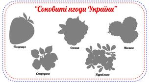 "Соковиті ягоди України"