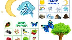 Дидактична гра: "Жива природа- нежива природа ".
