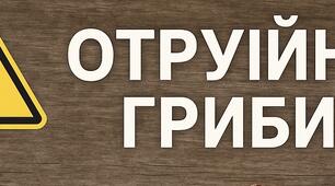 Увага! Сезон грибів-підвищена небезпека для дітей!