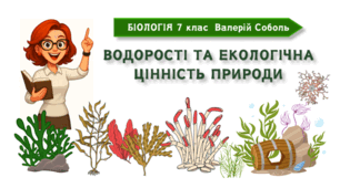 7 клас НУШ. Водорості та екологічна цінність природи