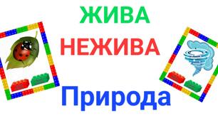 Дидактична гра: "Жива-нежива природа".(лего)