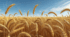 Скасування автономії України. Узагальнення
