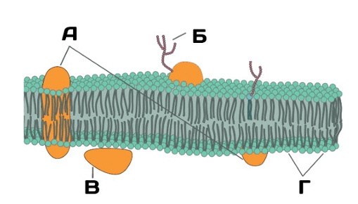 08015ppk-50b5-509x290.png