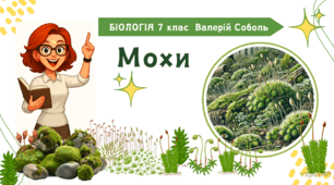 7 клас НУШ.   Мохи