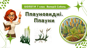 7 клас НУШ.  Плауновидні. Плауни
