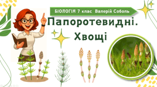 7 клас НУШ.  Папоротевидні. Хвощі