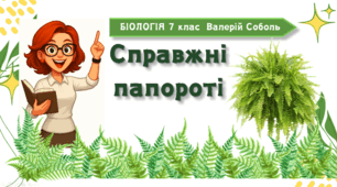 7 клас НУШ.  Справжні папороті