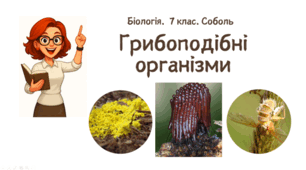7 клас НУШ.  Грибоподібні організми