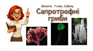 7 клас НУШ.  Сапротрофні гриби