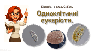 7 клас НУШ.  Одноклітинні еукаріоти