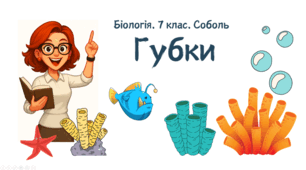 7 клас НУШ.  Губки