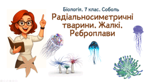 7 клас НУШ.   Радіальносиметричні тварини. Жалкі. Реброплави
