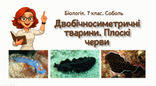 7 клас НУШ.  Двобічносиметричні тварини. Плоскі черви