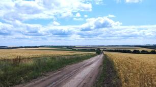 Спускається  в долину  тихий вечір