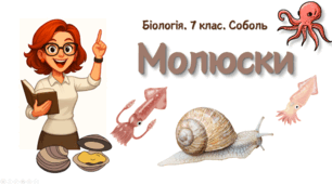 7 клас НУШ.  Молюски