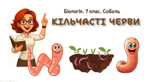 7 клас НУШ.  Кільчасті черви
