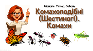 7 клас НУШ.   Комахоподібні (Шестиногі). Комахи