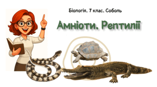 7 клас НУШ.   Амніоти. Рептилії