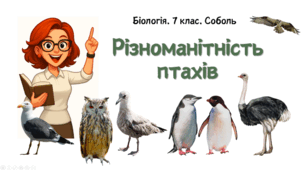7 клас НУШ.   Різноманітність птахів
