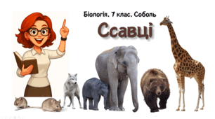 7 клас НУШ.  Ссавці