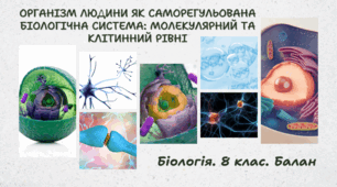 8 клас НУШ. Організм людини як саморегульована біологічна система: молекулярний та клітинний рівні