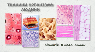 Тканини організму людини. 8 клас НУШ