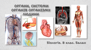 Органи, системи органів організму людини. 8 клас НУШ
