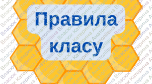 Правила класу нуш. Бджілки