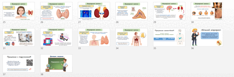 08015vew-a1a1-940x312.png