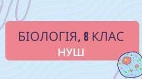 Рефлекторний принцип діяльності нервової системи. Рефлекси безумовні та умовні. НУШ