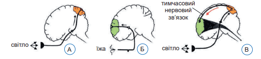 08015vkw-2207-536x121.png