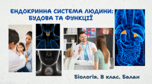 Ендокринна система людини: будова та функції. 8 клас НУШ