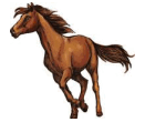 08015xkm-33b1-150x126.png