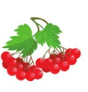08015xkq-a201-150x157.png