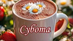 Цитата Дня