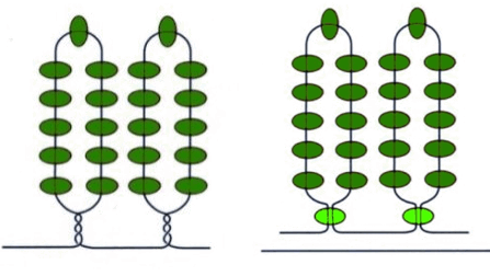 08015zdm-46e1-447x252.png