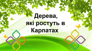 Презентація: Дерева, які ростуть в Карпатах