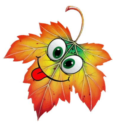 08015zit-05ec-381x418.png