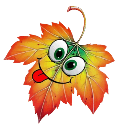 08015zit-05ec-392x430.png