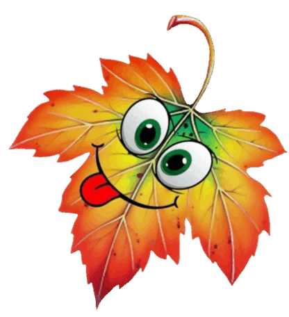 08015zit-05ec-416x456.png