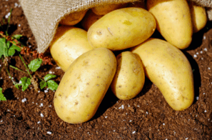 08016098-4c9f-297x196.png