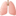 🫁