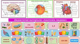 Дидактичні матеріали "Біологія 8 клас"
