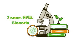 7 клас. БІОЛОГІЯ. Вищі спорові рослини. Мохоподібні. Плауноподібні. Хвощеподібні. Папоротеполдібні.