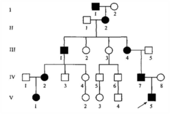 080161x1-4ba7-247x166.png