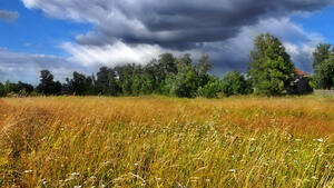 080161y2-c070-300x169.jpg