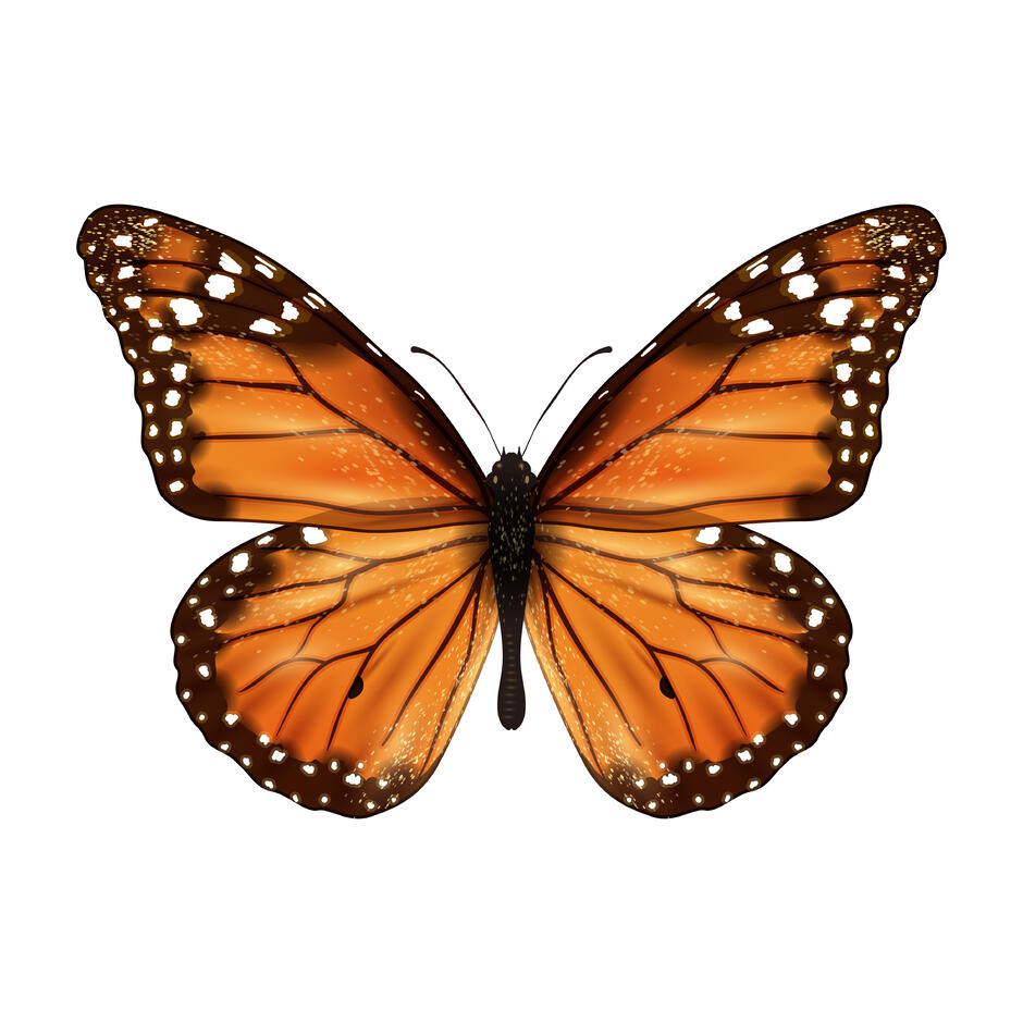 080162lp-60e4-940x940.jpg