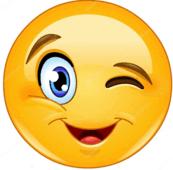 080162v0-56a0-173x170.png